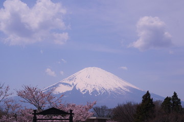 Obraz premium landscape