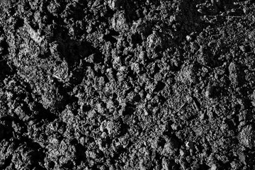 Black and white photo of the dirt from top, close