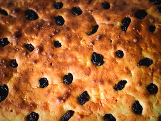 Pastel con pasas de color anaranjado en una bandeja gris