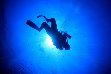 Scuba diving coral reef and fish