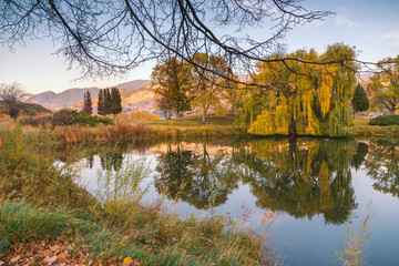 Obraz premium Calm water of garden pond at sunset reflecting surrounding trees, grasses, and mountains.