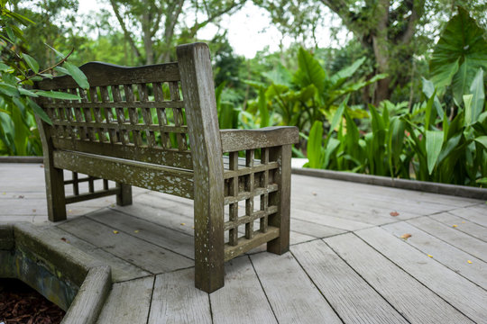 Bench in the Botanic Garden in Singapore