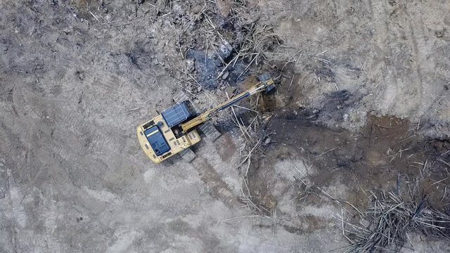 Excavator destroying rainforest