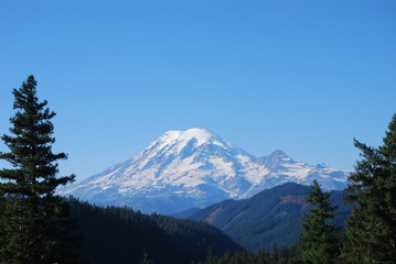 delete without submission