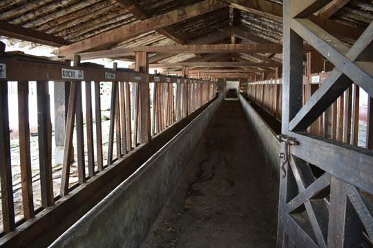 Casa hacienda " la Colpa" en Cajamarca - Cajamarca - Per&uacute;, en donde llaman a las vacas por su nombre, perspectiva, corrales de vacas hechas en madera.