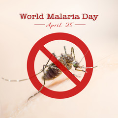 World malaria day with no mosquito sign for bite prevention of virus carrier insect spreading Aedes...