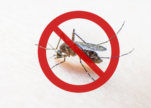 World malaria day with no mosquito sign for prevention of virus carrier insect spreading Aedes aegypti, yellow fever, dengue, chikungunya, Zika, Mayaro, Malaria, flavi epidemic disease