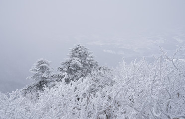덕유산의 겨울 풍경