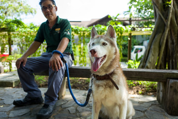 A husky on Sentosa Island © Pierre