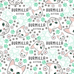 Cat Breed Collection : Seamless Pattern : Vector Illustration