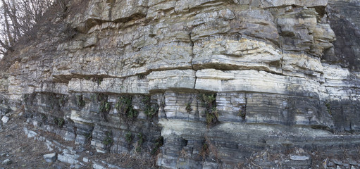 지층과 공룡화석