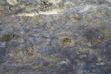 지층과 공룡화석