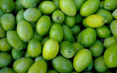 Ripe green olives background, close up view fruits harvested