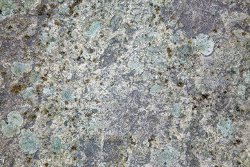 Old concrete background with moos