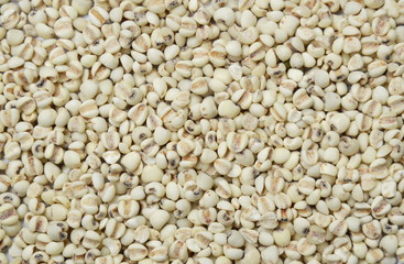 raw Job's tears or millet texture and background