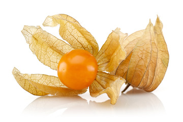 Physalis