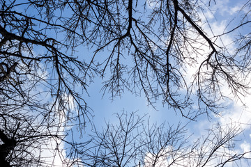 Handmade dream catcher with feathers threads and beads rope hanging