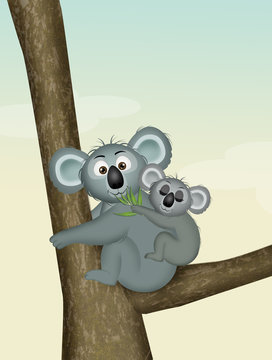 Illustration of koalas on tree