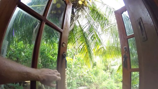 Dolly Camera moves towards into the palm trees garden window opened with male hand 