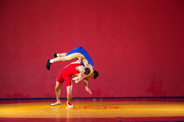 Two strong wrestlers