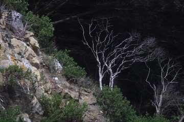 Mountain cave entrance