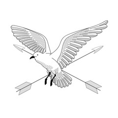 bird flying. illustration vector. hand drawing line art of animal. bird isolated line on white background. symbol of freedom. tattoo design. circle of life. with cross arrow.