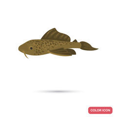 Catfish aquarium fish color flat icon