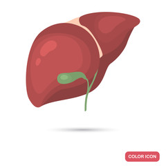 Human liver and gallbladder color flat icon