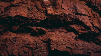 Rocky surface of the planet mars