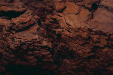 Rocky surface of the planet mars