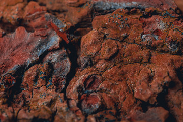 Surface of the planet mars. Red colour of the ground with details, minerals and living organisms on it. 