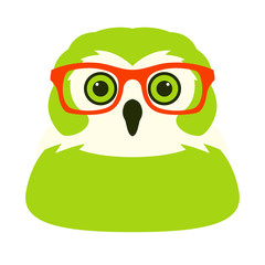 owl in glasses face vector illustration flat