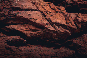 Rocky surface of the planet mars