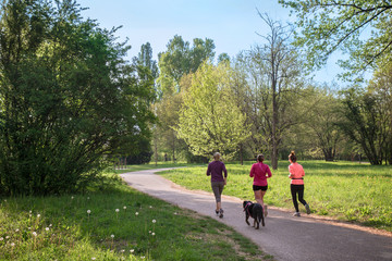 Obraz premium group of women jogging at park, they run with a dog in the nature 