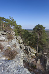 Fototapeta na wymiar View from Fontainebleau, Ile-de-france, France
