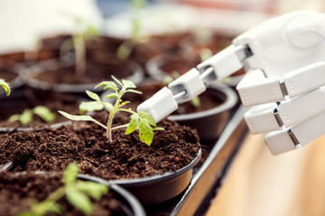 Roboter als Gärtner