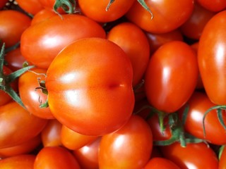 Fototapeta na wymiar Fresh tomatoes for health.