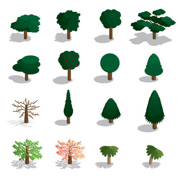 Isometric trees vector set. Isometric trees icon set. 