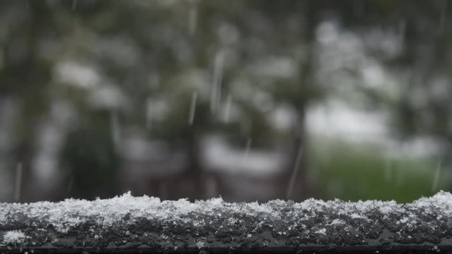 Close up of wet snow falling and accumulating. Trees out of focus in the background.
