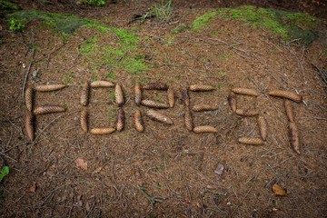 Human killing the forest. Word forest made by cone on the ground