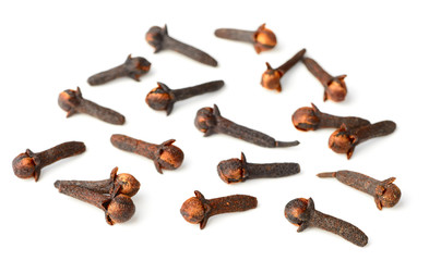 dried cloves isolated on white