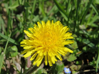 Gardens of the North Caucasus, the awakening of nature in the spring. Spring emotions.