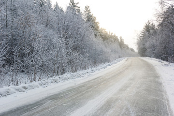 snowy winter asphalt road during blizzard, white forest and white road