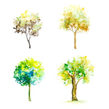 Bright colored trees. Four trees. Hand-drawn. A watercolor drawing. Close up. Isolated on white background