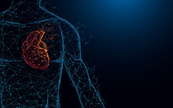 Human heart anatomy form lines and triangles, point connecting network on blue background. Illustration vector