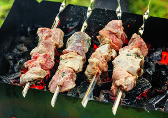 Pork shashlik on skewers