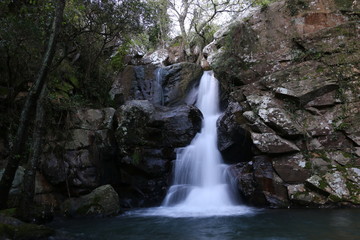 Cascadas con larga exposición