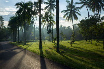 Obraz premium Nature in the Borobudur temple are aof Yogyakarta