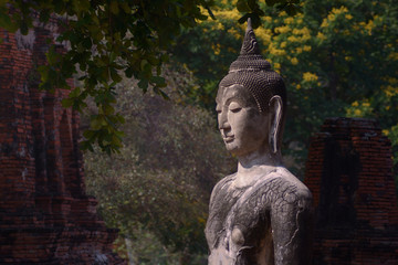 Historic sand stone buddha of Wat Phra Mahathat in Ayutthaya historic park, Thailand