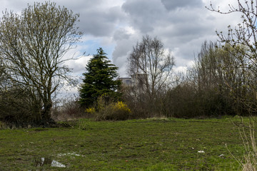Power plant seen from a piece of nature